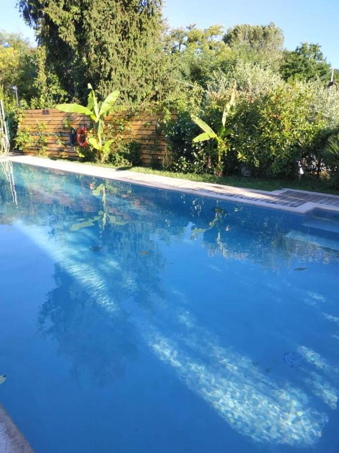 Villa Paradiso Del Garda Vista-Verde Bardolino Buitenkant foto